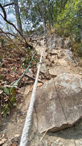 東卯山東南稜原路往返（德芙蘭步道小o繞）尋找失落的石觀音2082141