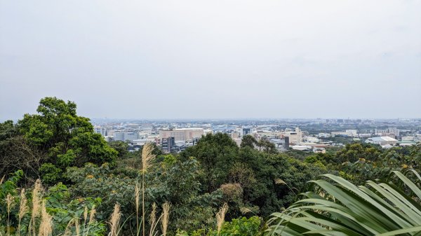 五酒桶山2448480