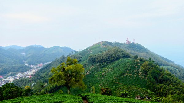 雲嘉五連峰2948646