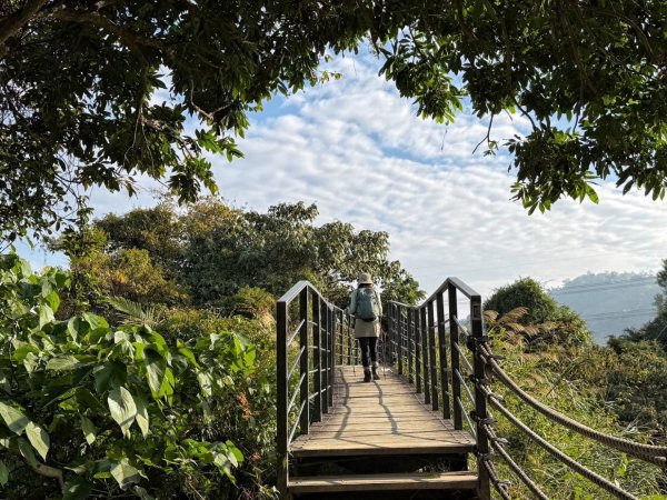 龍過脈森林步道2960923