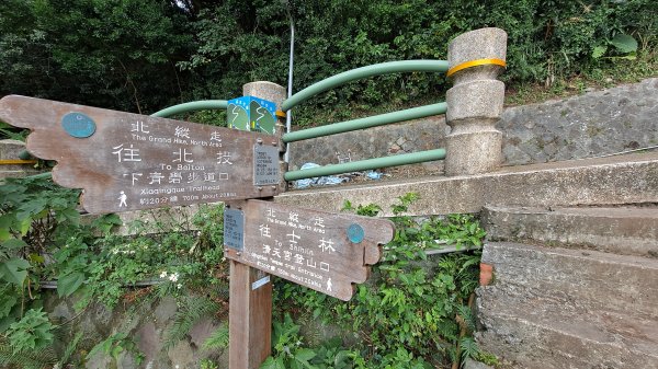 台北大縱走第一段1249158