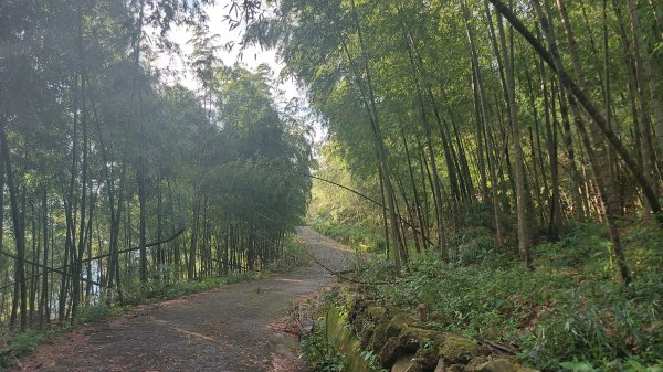 雲嘉九連峰1438914