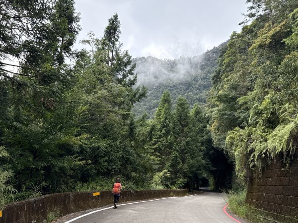 鳶嘴山+稍來神木 202508302873917