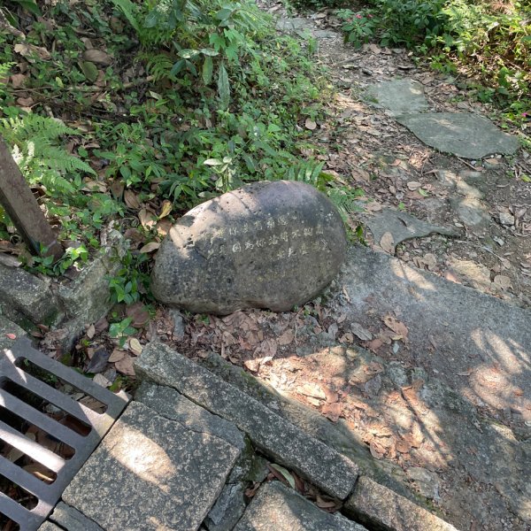 20240214 台北－臺灣百大必訪步道象山親山步道2425876