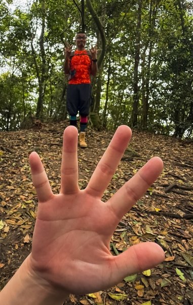 新竹五指山 - 指峰凌霄2768557