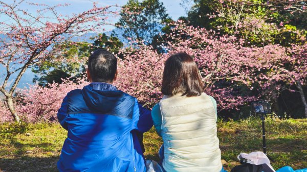 【台灣健行】春艷 • 寶山二集團2698530