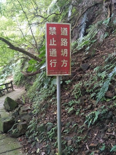 新溪洲山步道1758815