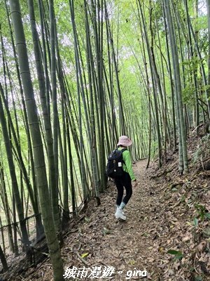 【台中和平】橫嶺山自然步道_木馬古道3095034