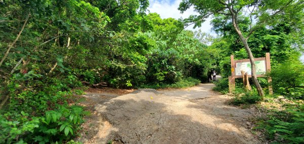 2024-05-18北柴山登山步道2507879