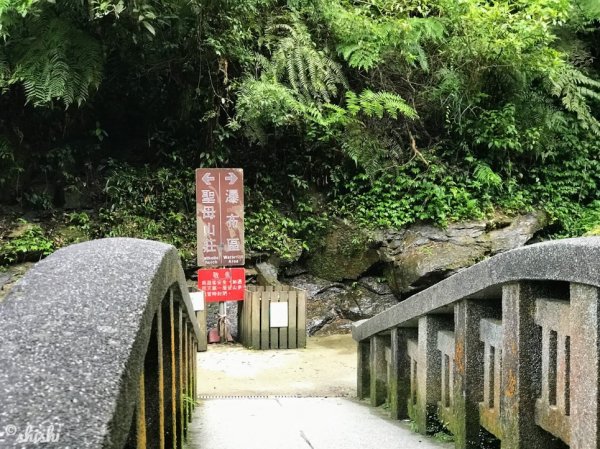 ●玩水●獼猴●賞蝶「聖母山莊步道」630423