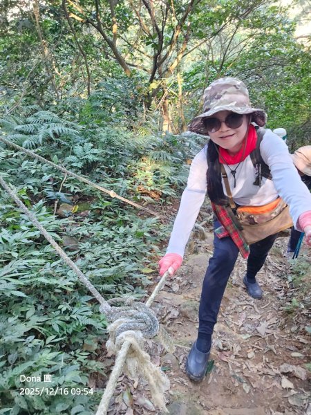 20251216太平山石門山小粗坑山O型+蕃薯藤TINA廚房2972559