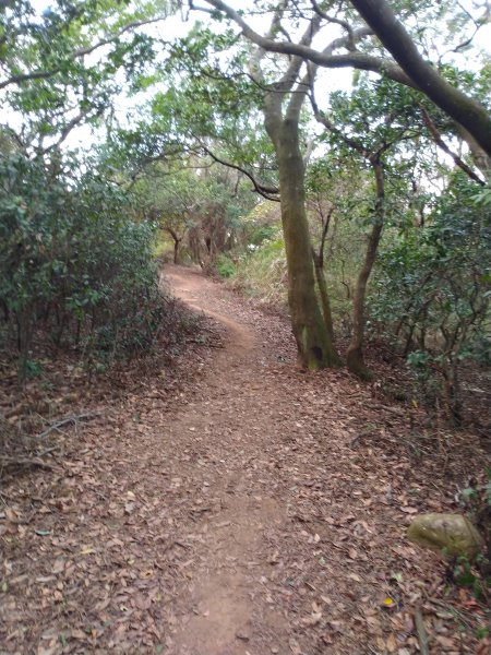 新竹新埔 文山步道1212941