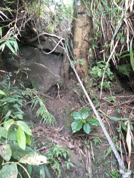 2019 10 29 三腳南山登山步道717764