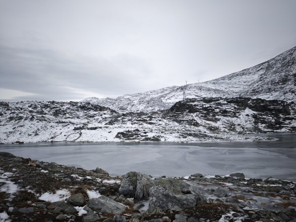 [紐約馬之行-46] 2025_1108 努克環狀步道 3/52951370