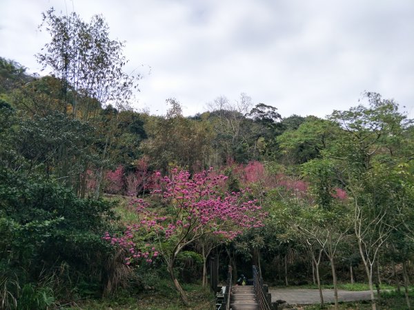 茄苳步道、峭壁雄風步道1267585