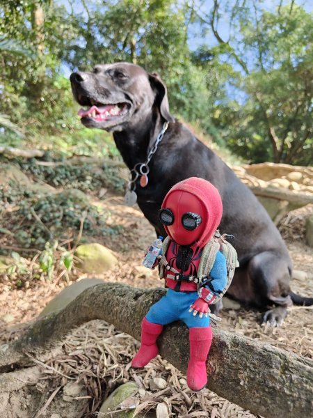 2024.01.02 飛鳳山2832149