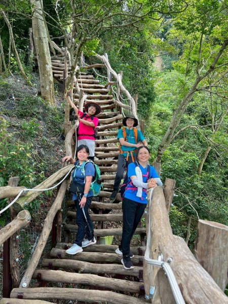 大坑1號和2號步道2826385