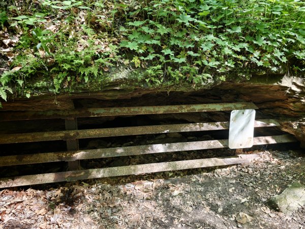 [美國行-04] 2026_0510 火雞跑步州立公園-糖溪3058941