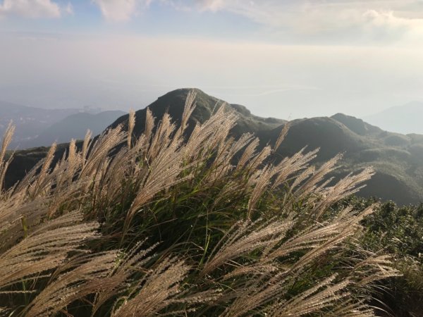 20180930 台北七星山與東峰547396