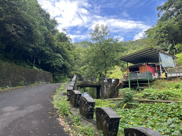 [微笑山線_第十一段] 2025_0803 五分山系_平溪小黃山段2851039
