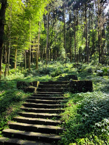 2025-09-14 奮起湖2887400