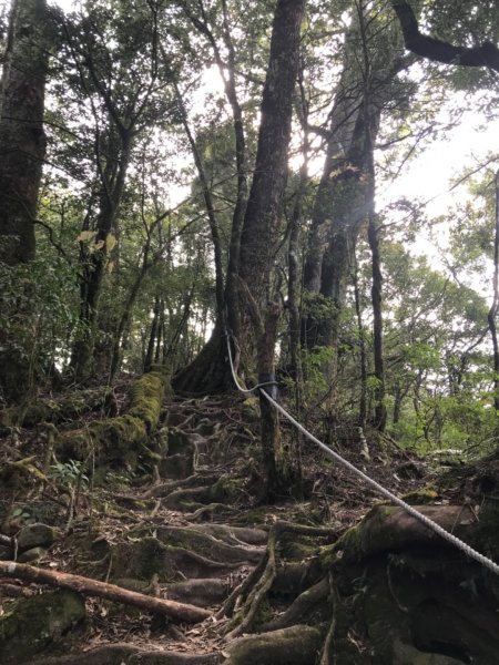 稍來南峰上稍來山遠看鳶嘴山714490
