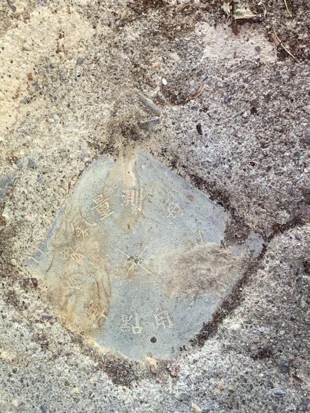 20250128高雄漯底山-北峰-西北峰2705209