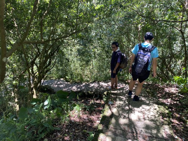 內雙溪的消暑密碼｜走一趟坪頂古圳就懂2873119