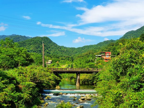 【淡蘭中路】翻山越嶺的茶商之道981225