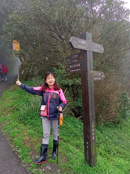 【臺北大縱走 1】二子坪→面天山→清天宮1274574