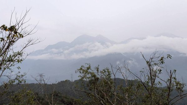 後尖山步道3008306