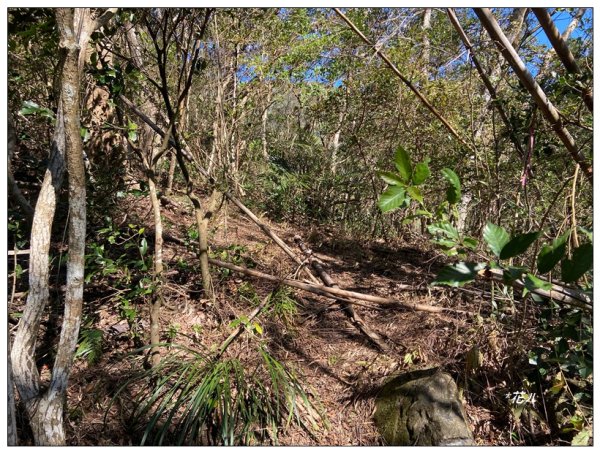 那羅山、煤源山、凌空廊道連走2684218