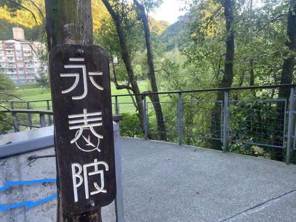 【四獸山 Short】虎豹象先行！獅山封閉中，等新步道開箱再相見2888876