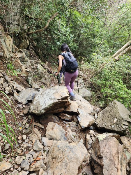 20230819 谷關七雄初登板-二哥馬崙山，白冷冰棒2255617