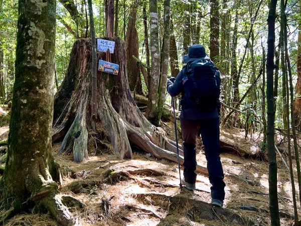 船型山環走大雪山210林道2978032