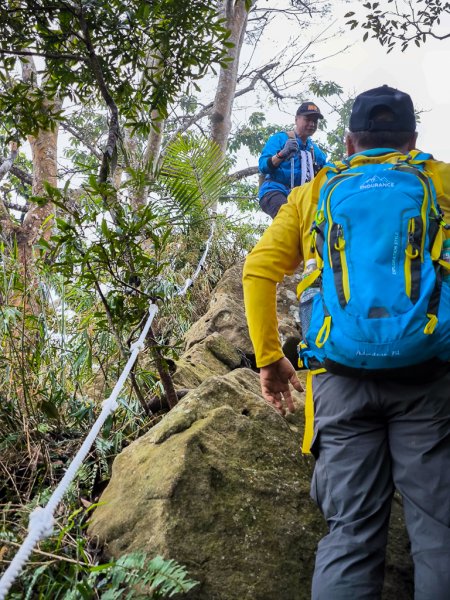 2025-03-08 汶水三山：金童山、汶水山、玉女山 連走2736536