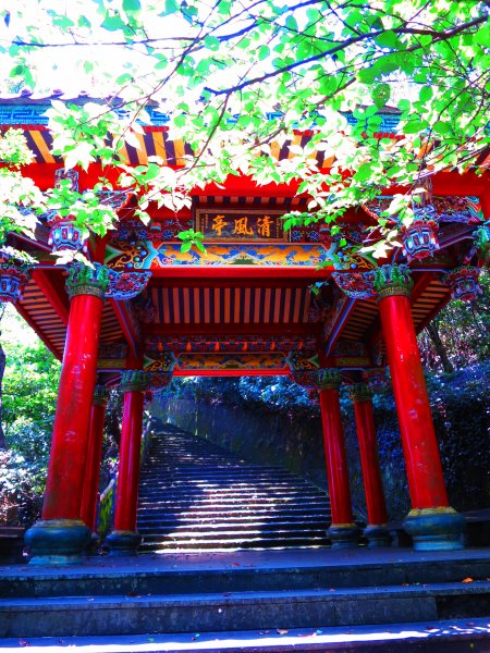 搭著捷運去旅行-白石湖賞花輕旅行610490