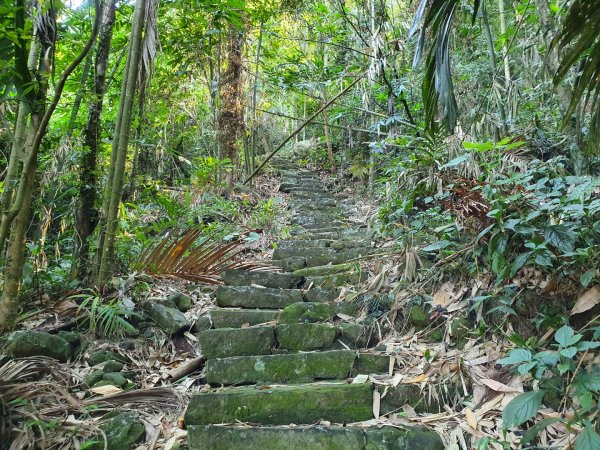 華山10號系列步道1037294