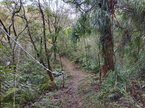 石碇南港區深按頭山+深按頭西峰+三層崎山+灰窯山+土庫岳東峰+土庫岳+山豬窟尖+更寮腳山+大豐山2976881