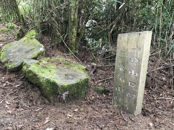 東埔山步道169707