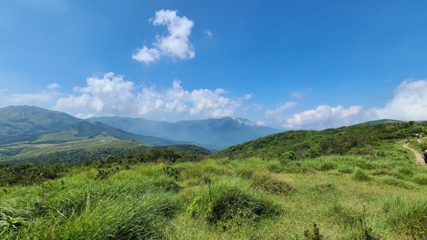 陽明山國家公園-風櫃嘴、石梯嶺、擎天崗1484107