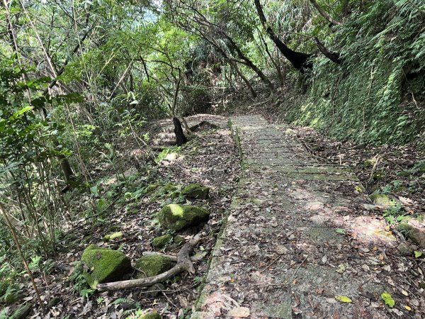 [微笑山線_第九段] 2025_0914 二格山系_皇帝殿西峰2889788