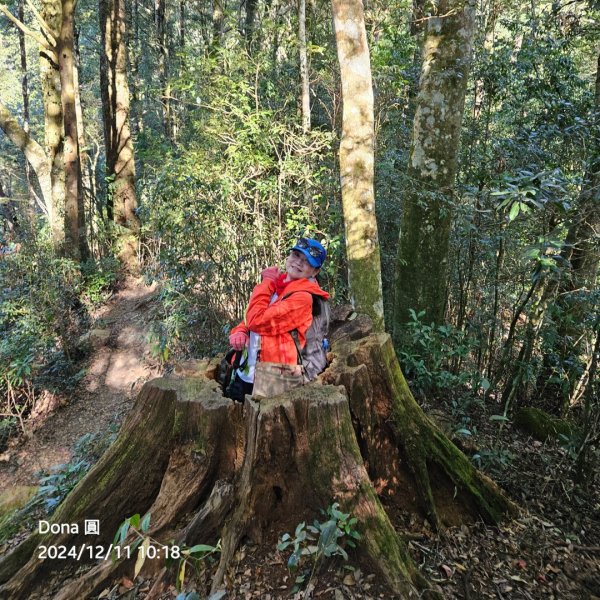 【谷關七雄】屋我尾山(H1796m)＆屋我尾山北峰(H1784m)熱身行2670230