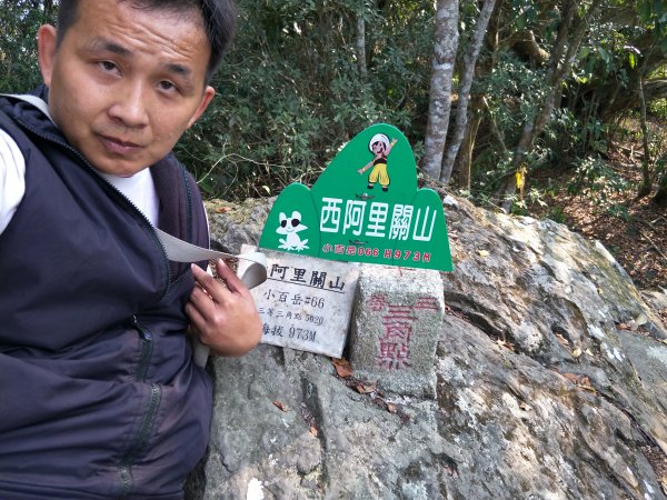 小百岳：西阿里關山1325347