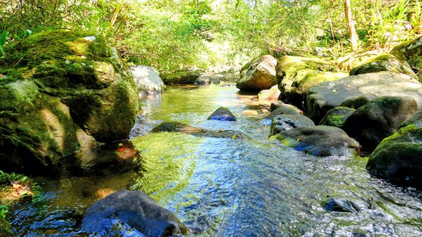 中坑古道東山西山2896471