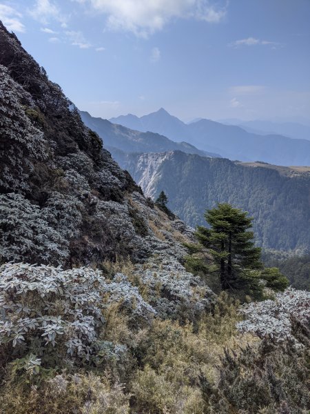 【2021 登山植物學】1609433