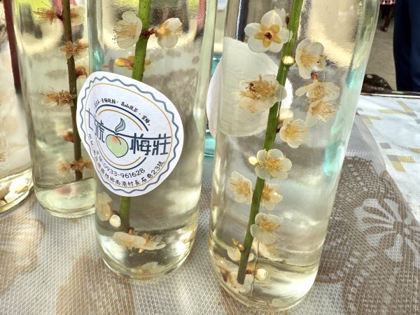 走大橫屏山九份二山(小百岳#45、47)賞梅去2695088