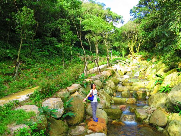 【心靈療癒】陽明山頂湖環狀步道182885