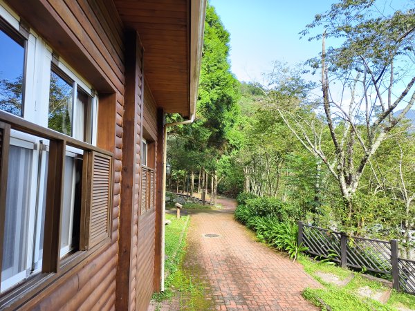 [百山百鳥尋旅-07/15] 2025_0831 八仙山國家森林遊樂區步道群2875956