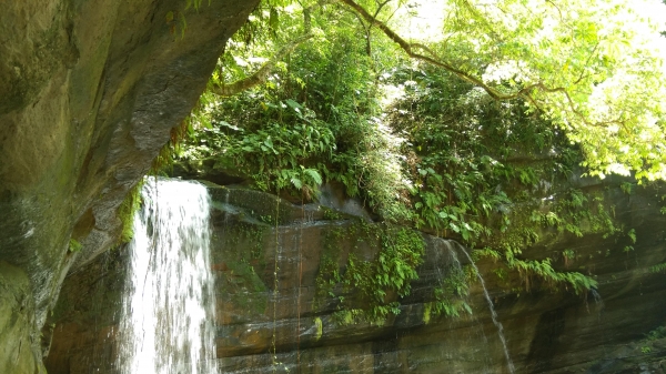 鐵道密境~嶺腳寮山步道順訪望古瀑布51539